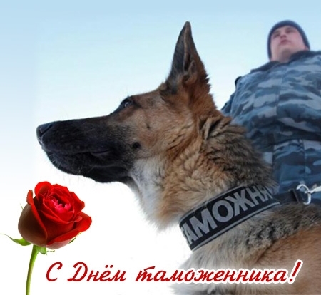 Открытки с днём таможенника скачать бесплатно. Открытки с днём таможенника 25...