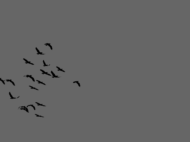 Открытки с парящими в небе птицами скачать бесплатно. Открытки с парящими в н...