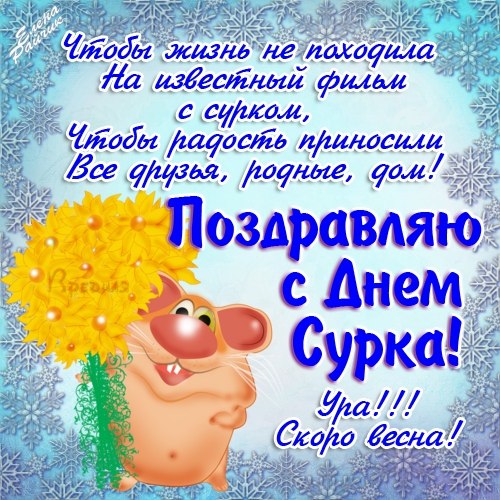 Скачать бесплатно открытки с днём сурка. Открытки с днём сурка Gif.