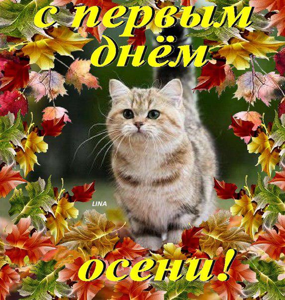 Открытки с первым днём осени скачать бесплатно. Красивые Открытки с первым дн...