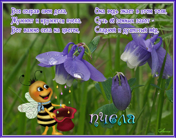 Открытки с пчелами прикольные. Открытки с пчелами скачать бесплатно.