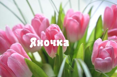 Открытки с именем Яна скачать бесплатно. Поздравительные открытки с именем Яна.