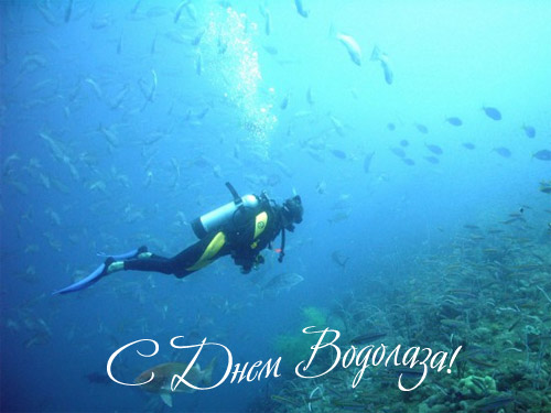 Открытки с днём водолаза скачать бесплатно. Открытки с днём водолаза gif.