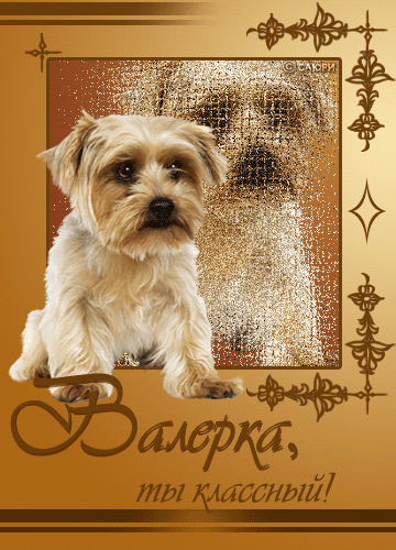 Открытки с именем Валерий с анимациями. Открытки с именем Валерий скачать бес...