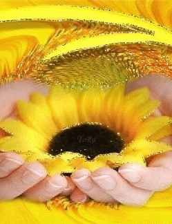 Открытки с подсолнухами скачать бесплатно. Открытки с подсолнухами gif.