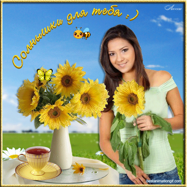 Открытки с подсолнухами скачать бесплатно. Открытки с подсолнухами gif.