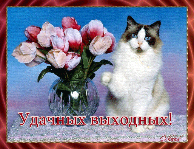 Скачать бесплатно открытки с пожеланиями хороших выходных дней. 