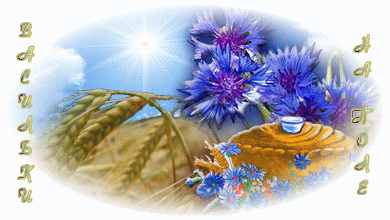 Открытки с букетом васильков скачать бесплатно. Открытки с букетом васильков ...