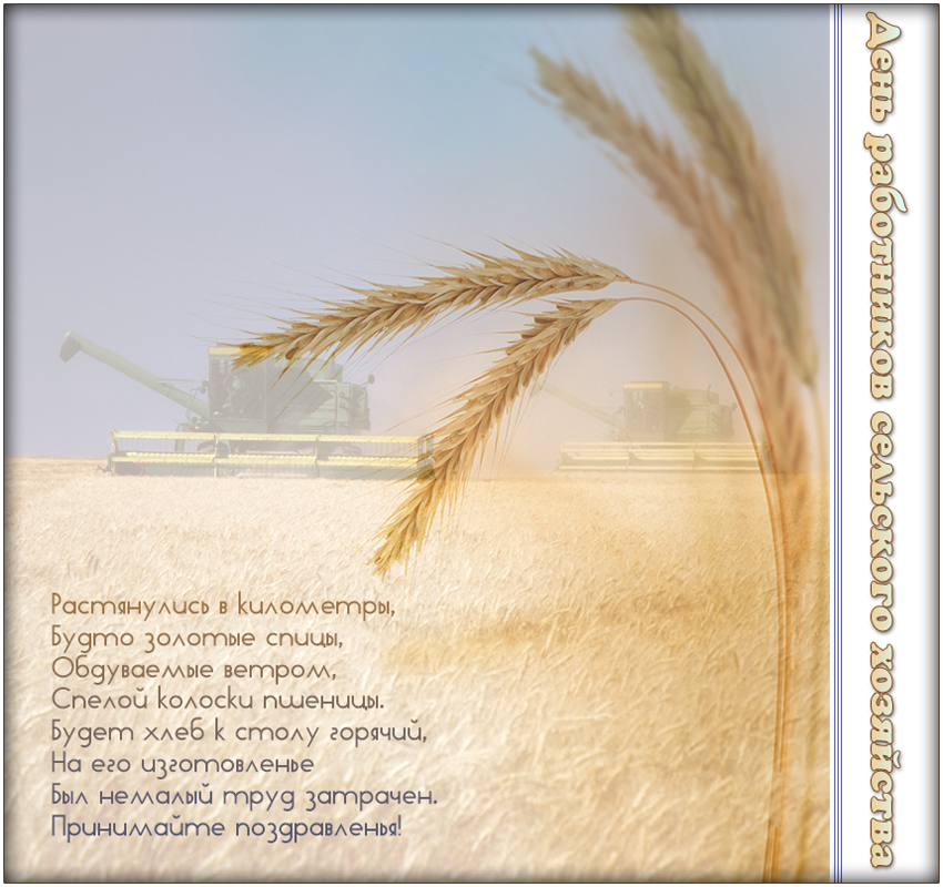 Открытки с днём работников сельского хозяйства и перерабатывающей промышленности скачать бесплатно.