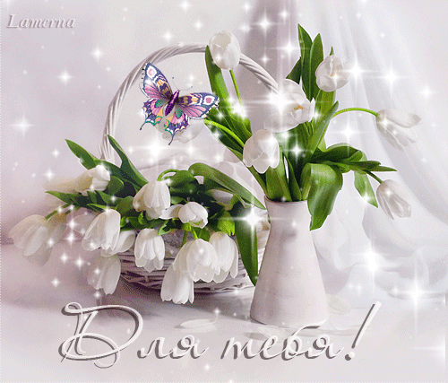 Открытки с белыми тюльпанами gif. Открытки с белыми тюльпанами скачать.
