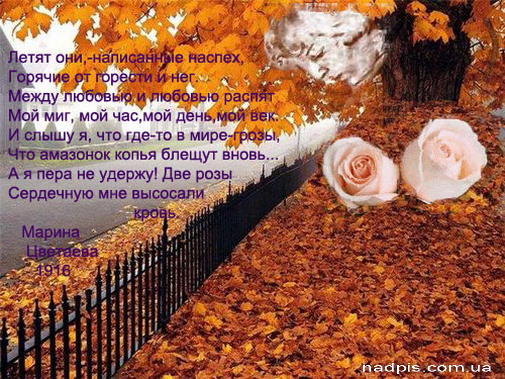 Открытки со стихами об осени скачать. Открытки со стихами об осени онлайн.