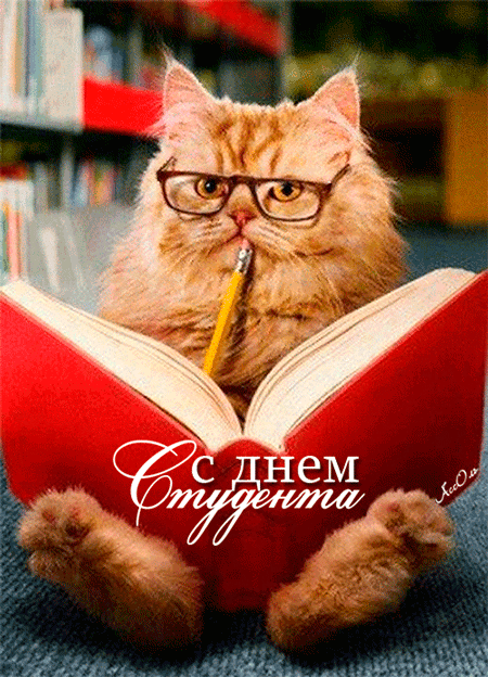 открытки с Днём Студента скачать бесплатно. Анимационные открытки ко дню студ...