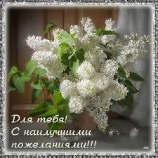 Открытки с белой сиренью анимационные. Открытки с белой сиренью gif.