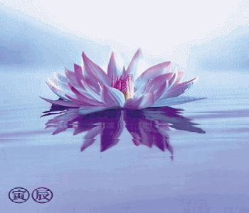 Открытки с лотосом анимационные. Блестящие открытки с лотосом.