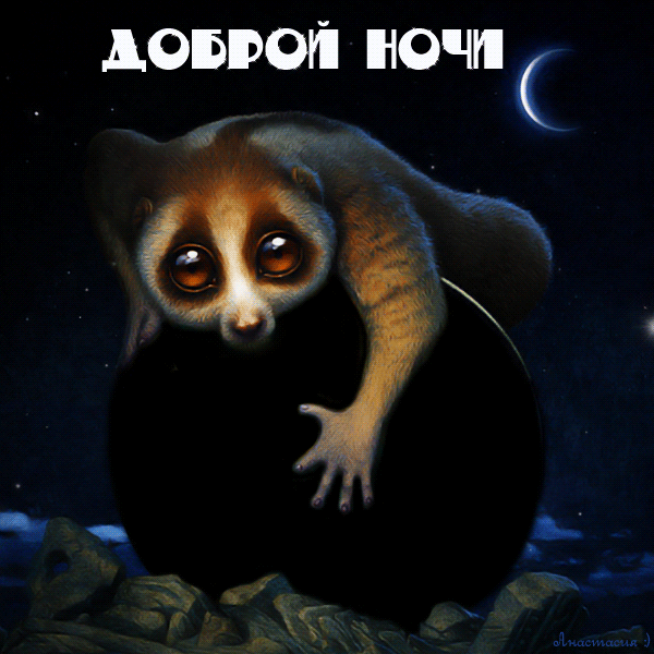 Скачать бесплатно открытки спокойной ночи. открытки сладких снов.