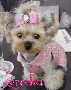 Красивые открытки с именем Лера. Скачать бесплатно открытки с именем Валерия.