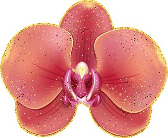 Открытки с розовыми орхидеями скачать бесплатно. Открытки с розовыми орхидеям...