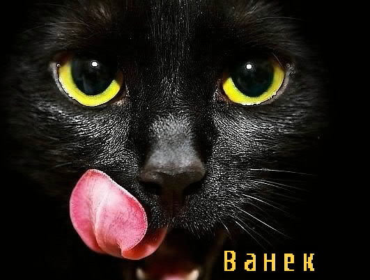 С днём рождения Ваня открытки. Открытки с именем Иван скачать бесплатно.