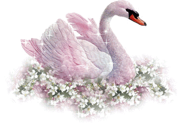 Открытки с лебедями скачать. Открытки с лебедями бесплатно. 