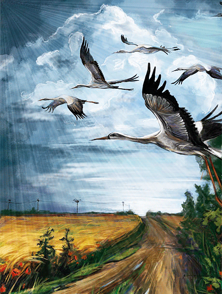 Открытки с парящими в небе птицами скачать бесплатно. Открытки с парящими в н...