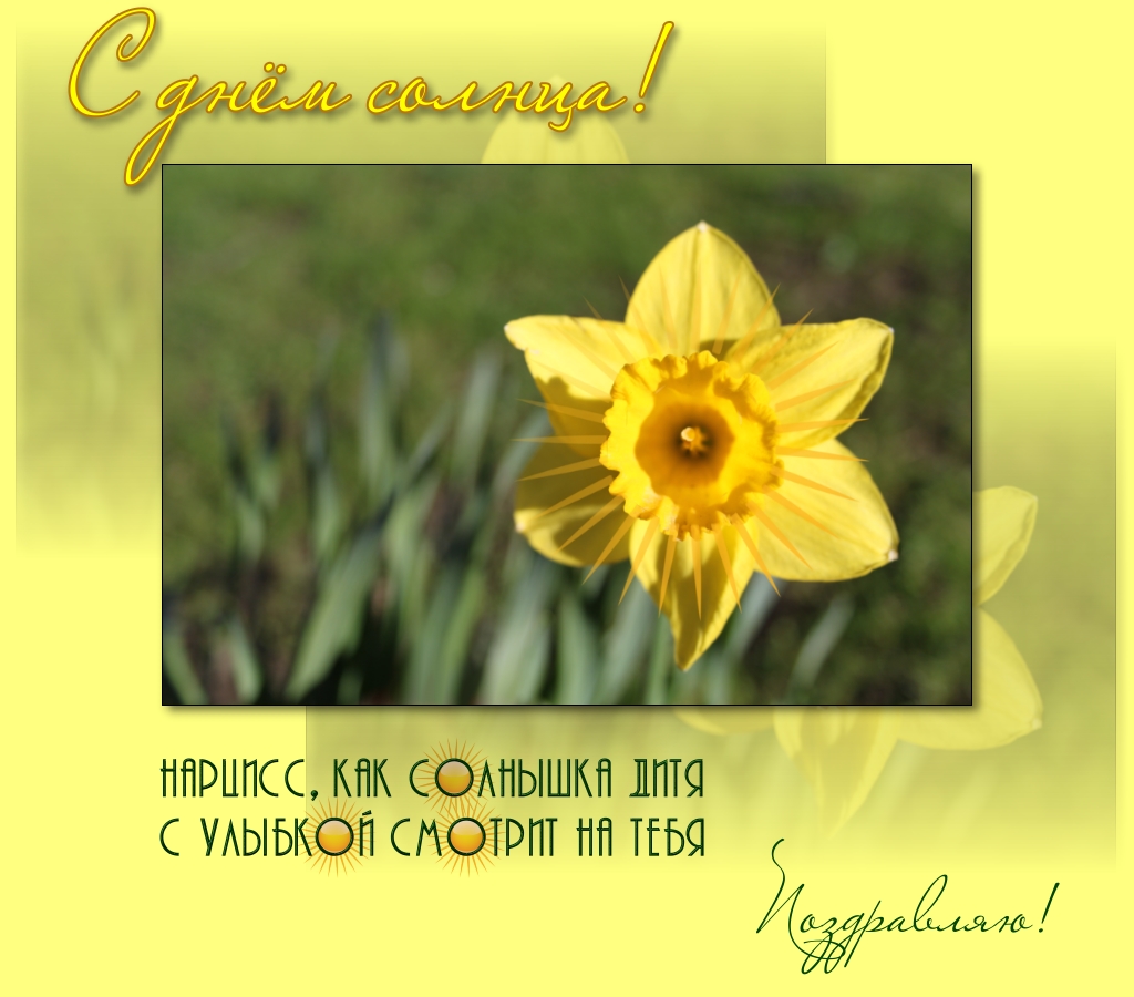 Открытки с Всемирным днём солнца скачать. Бесплатные открытки с днём солнца.