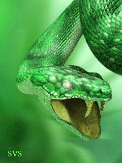 Открытки со змеями скачать бесплатно. Открытки со змеями gif.