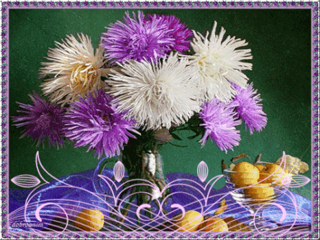 Открытки с хризантемами скачать бесплатно. Открытки с хризантемами онлайн.