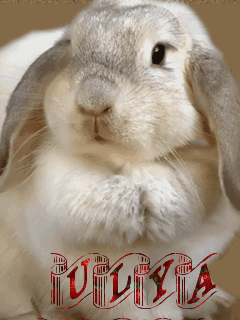 Открытки с именем Ульяна скачать бесплатно. Открытки с именем Ульяна с поздра...