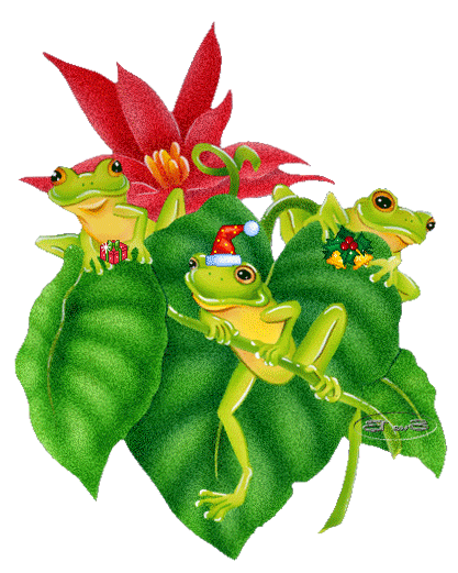 Открытки с лягушками скачать бесплатно. Открытки с лягушками gif.