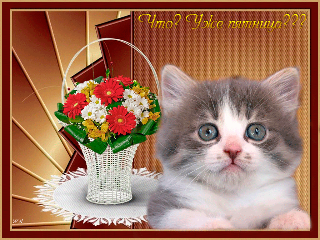 Открытки с пятницей скачать. Открытки с пятницей с анимациями.