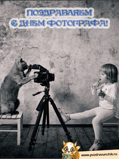 Открытки с днём фотографа скачать. Открытки с днём фотографа бесплатно.