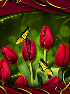 Открытки с красными тюльпанами скачать. Открытки с красными тюльпанами с аним...