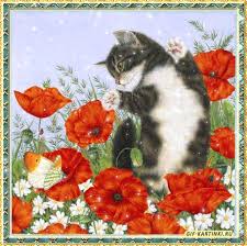 Открытки с маковым полем скачать бесплатно. Открытки с маковым полем онлайн.