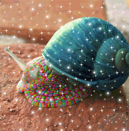 Открытки с улитками скачать бесплатно. Открытки с улитками онлайн.