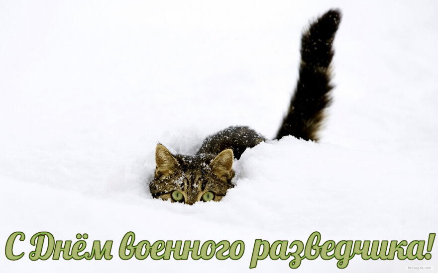 Открытки с днём военного разведчика скачать бесплатно с поздравлениями.