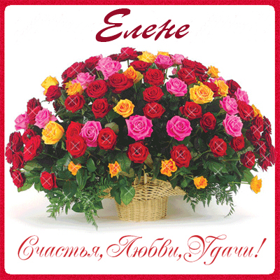 Открытки с именем Елена с анимациями. С днём рождения Елена открытки.