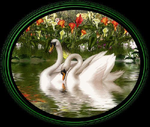Открытки с лебедями скачать. Открытки с лебедями бесплатно. 