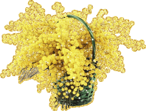 Открытки с мимозой скачать бесплатно. Открытки с мимозой онлайн.