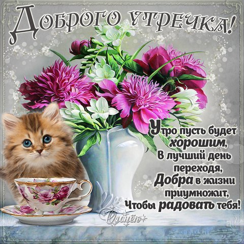 Открытки поздравления с добрым утром 