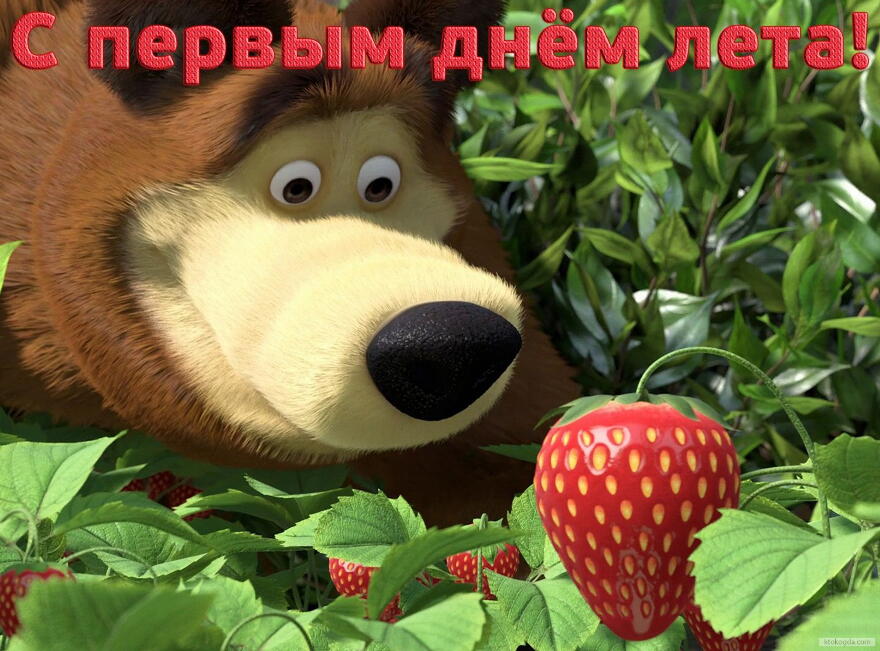 Открытки с первым днём лета скачать. Открытки с первым днём лета бесплатно.