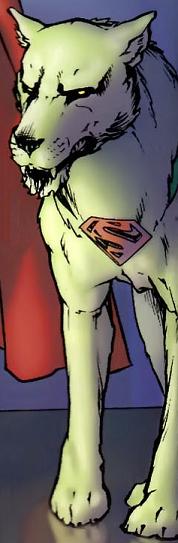 Открытки с Крипто скачать бесплатно. Крипто собака Супермена открытки.