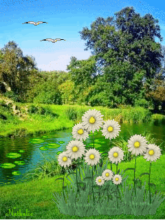 Открытки с летним лесом бесплатно онлайн. Красивые открытки с лесом.