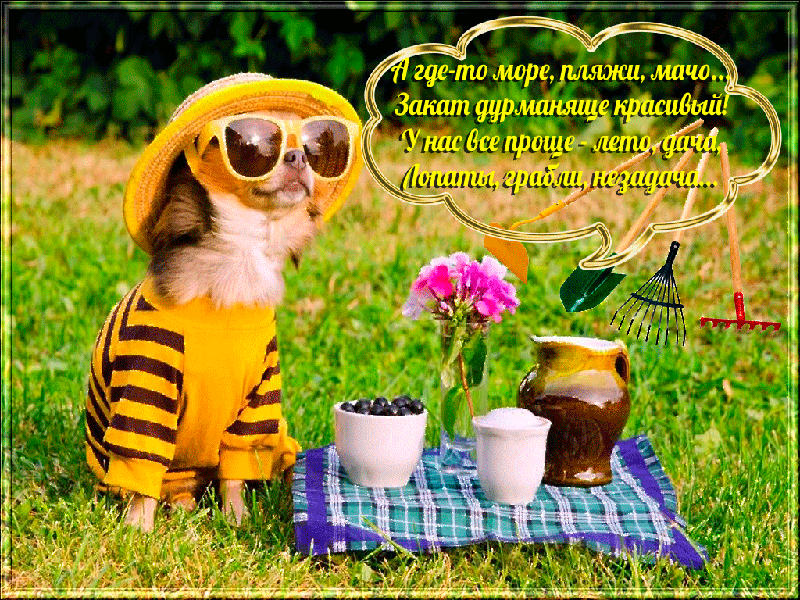 Открытки с пожеланиями хорошего отпуска скачать бесплатно gif.
