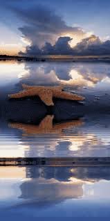 Открытки с морскими звездами анимационные. Открытки с морскими звездами gif.