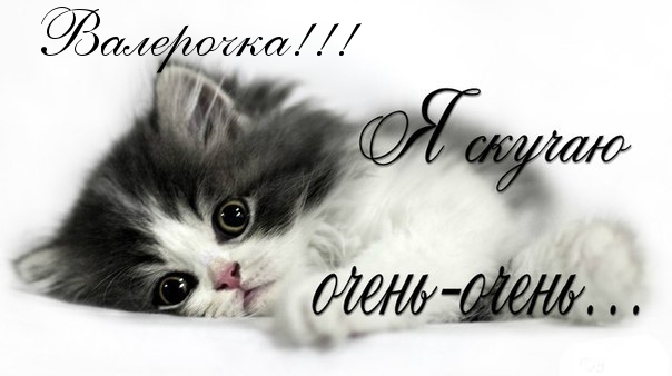 Открытки с именем Валерий с анимациями. Открытки с именем Валерий скачать бес...