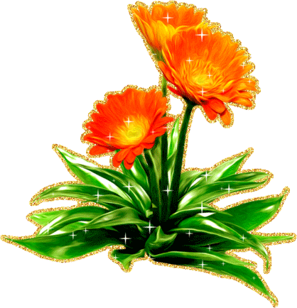 Открытки с календулой скачать бесплатно. Открытки с календулой онлайн.