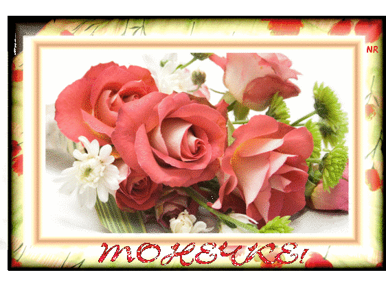 Открытки с именем Антонина скачать бесплатно. Открытки с именем Антонина gif.