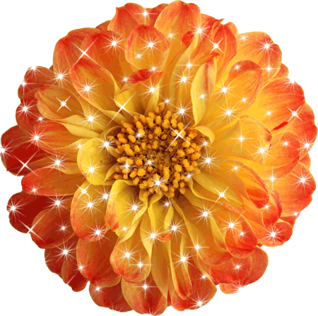 Открытки с георгинами скачать бесплатно. Открытки с георгинами онлайн.