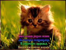 Открытки с Всемирным днём кошек с пожеланиями. Открытки с Всемирным днём коше...