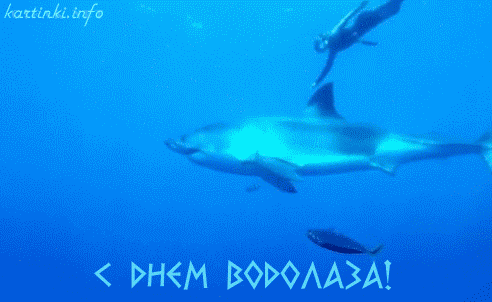 Открытки с днём водолаза скачать бесплатно. Открытки с днём водолаза gif.